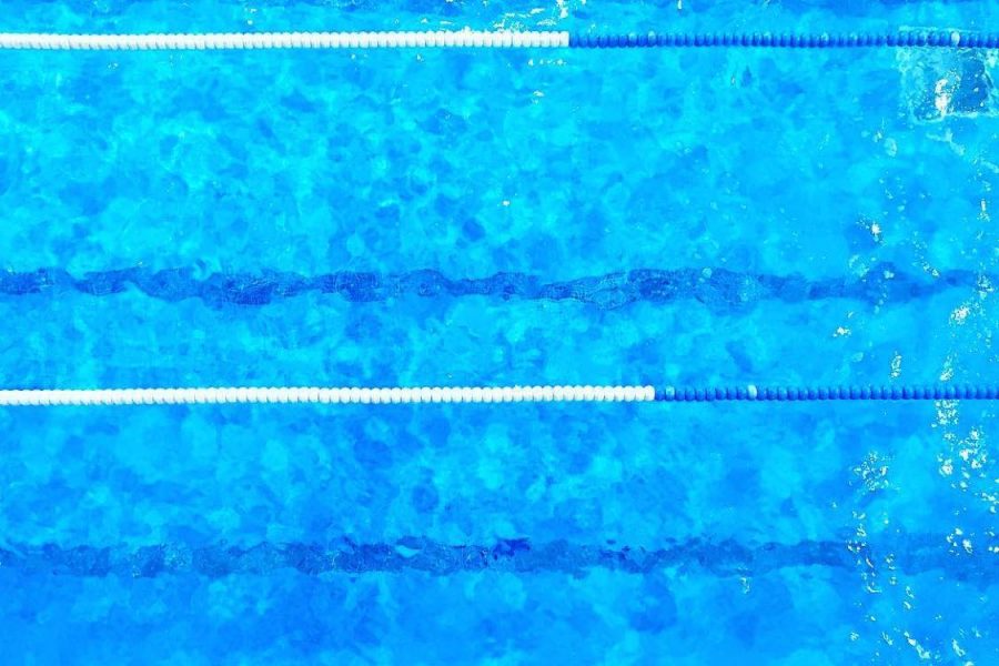 Escuela de natación